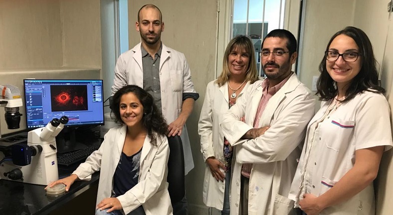 grupo investigacion 3