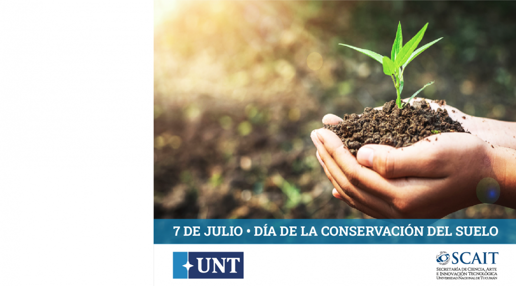 Suelo WEB