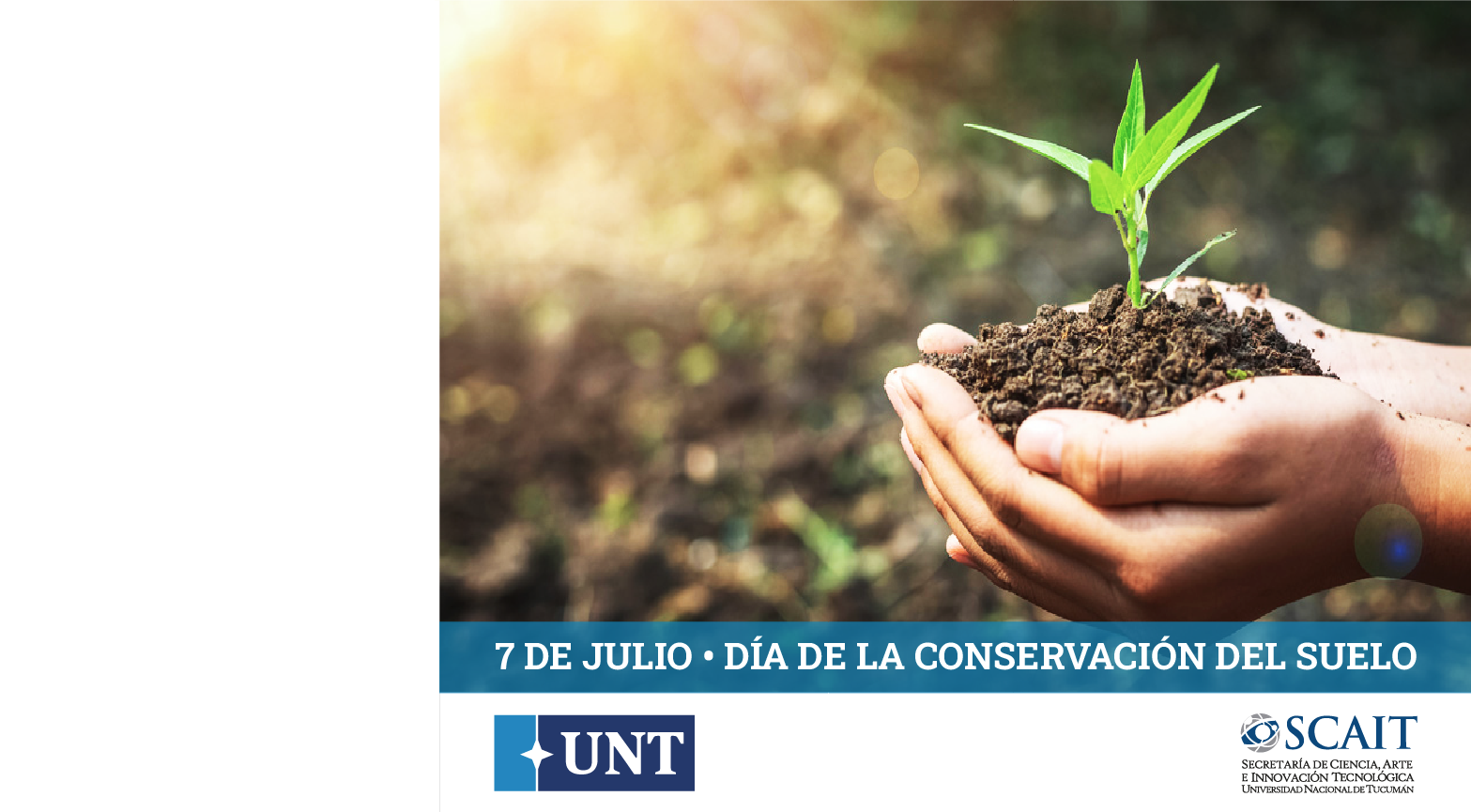 Suelo WEB