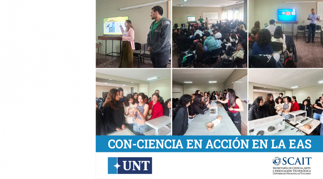 CCEA EAS WEB