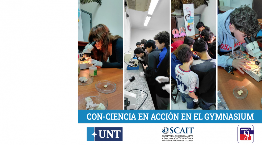 CCEA GYM WEB