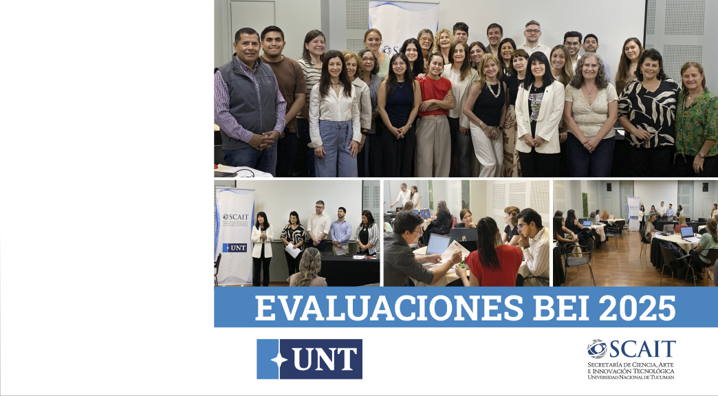 BEI Evaluaciones WEB