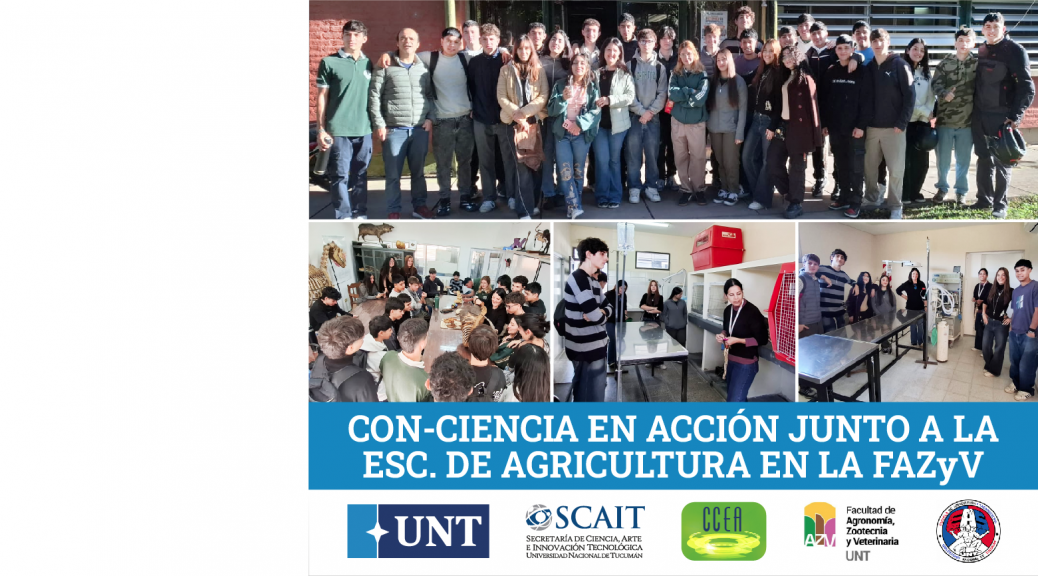 CCEA EAS WEB