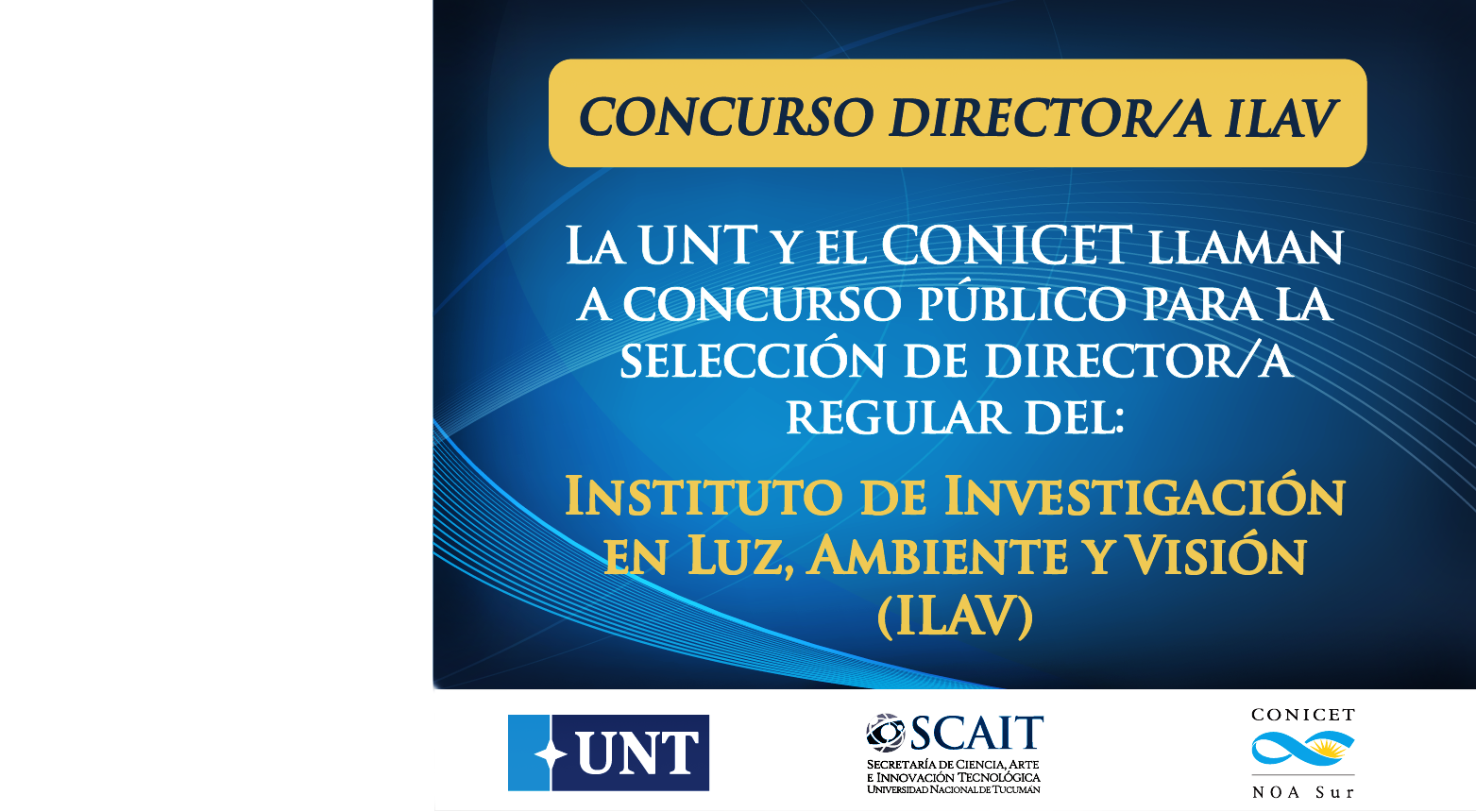 Concurso ILAV WEB