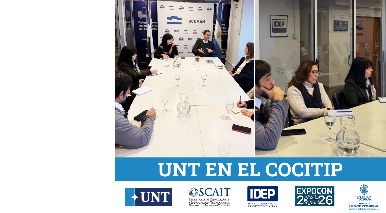 UNT COCITIP WEB