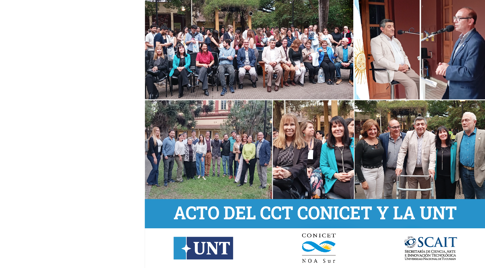 Ingreso CONICET WEB
