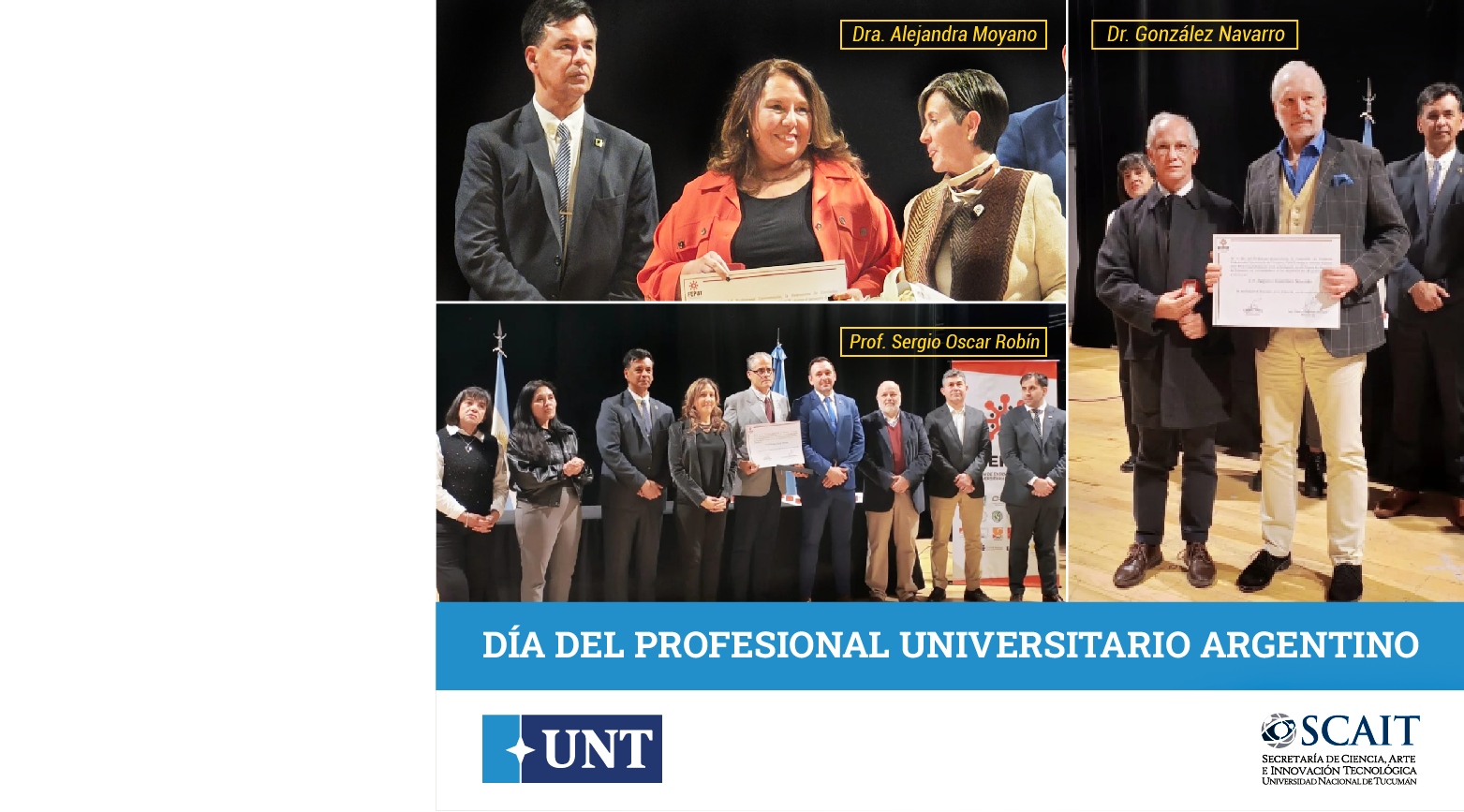 Profesional UNT WEB
