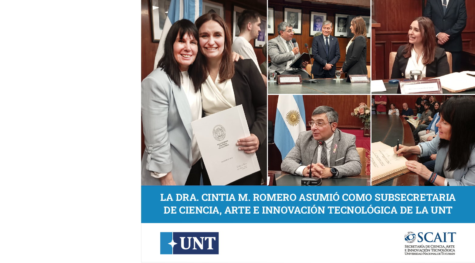 Cintia WEB
